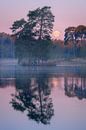 Setting moon at the Oisterwijkse Vennen with beautiful pastel colors. by Jos Pannekoek thumbnail