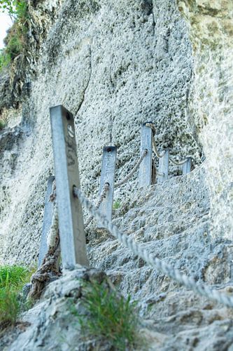 De weg naar boven van Tessel Sander