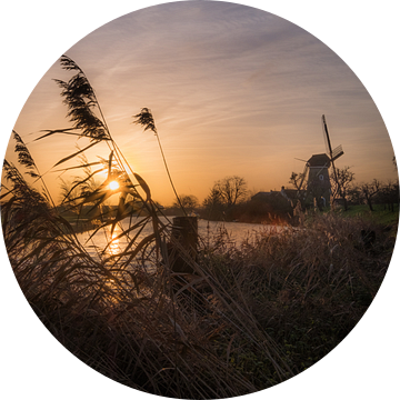 Molen de Vrijheid Beesd Betuwe van Moetwil en van Dijk - Fotografie