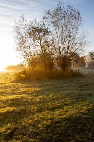 Sunrise by ton vogels
