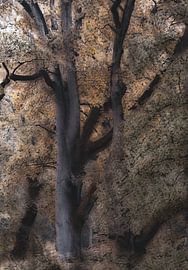 Wolfhezerheide Teil 136 von Tania Perneel