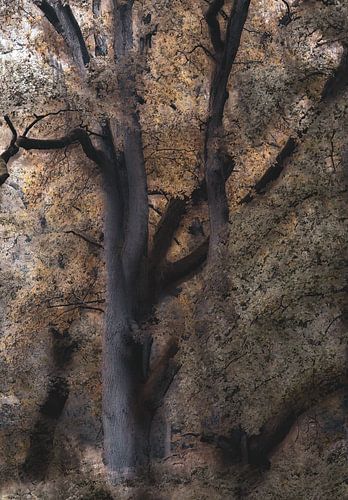 Wolfhezerheide part 136