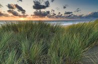 Sonnenuntergang mit der Nordsee und den Dünen von eric van der eijk Miniaturansicht