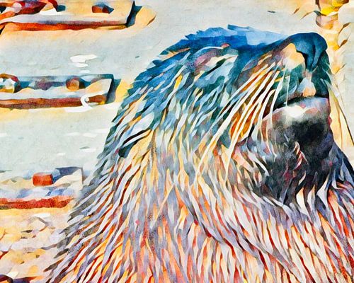 Seal in South Africa