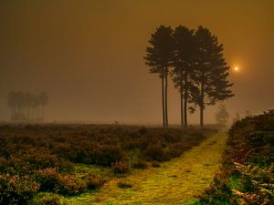 Paysage