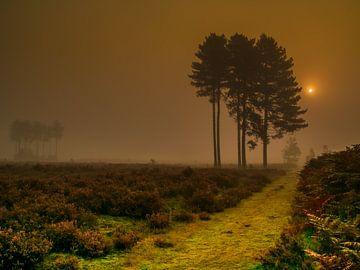 Landschap van Karen de Geus