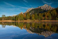 Reflection in the water