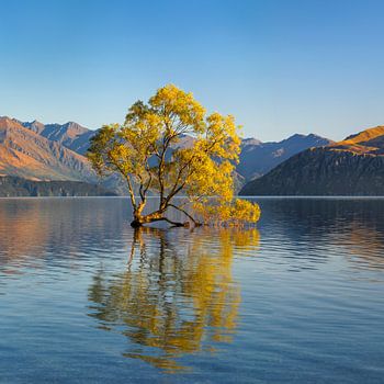 Lake Wanaka bei Sonnenaufgang, Neuseeland