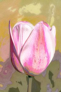 Tulpe. Grafik. Pop-Art. 1