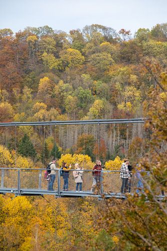Tussen hemel en aarde - Hangbrug bij de Rappbode Dam in het Harz gebergte