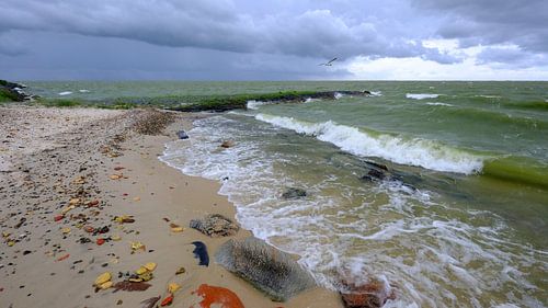 Côte de l'IJsselmeer