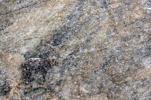 Ausdauer von David Pattyn