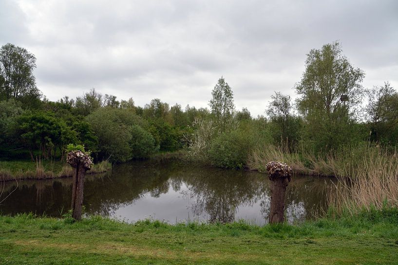 Piece of nature along the highway to the north by FotoGraaG Hanneke