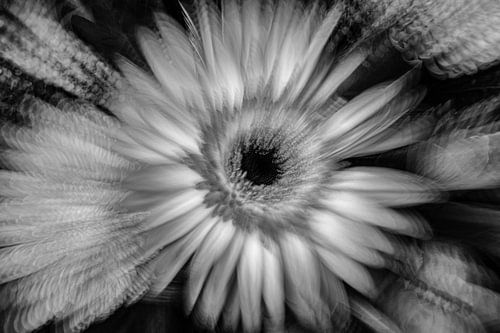 Creatief met bloemen