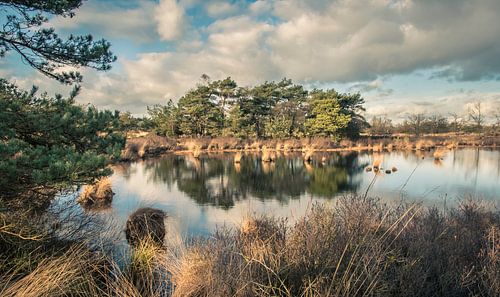 De Malpie, natuurgebied in Noord-Brabant, Nederland