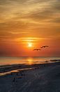 Sunset in Zeeland by Peter Bartelings thumbnail