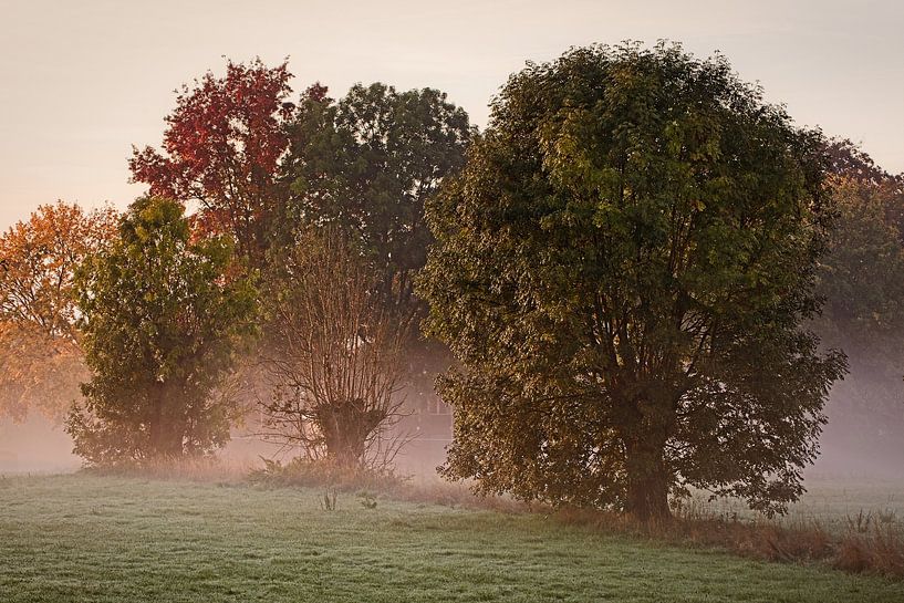 Golden sunrise in Kapolder by Rob Boon