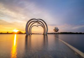 The rising sun at Timeline van Daniëlle Langelaar Photography