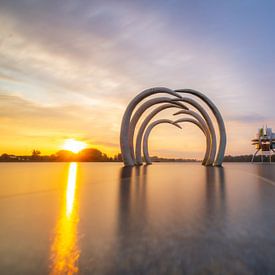 The rising sun at Timeline van Daniëlle Langelaar Photography