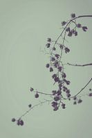 Sanfte Natur 2