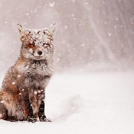 Fairytale Fox - Vos in een sneeuwstorm van Roeselien Raimond