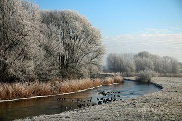 Winterlandschap von Cora Unk