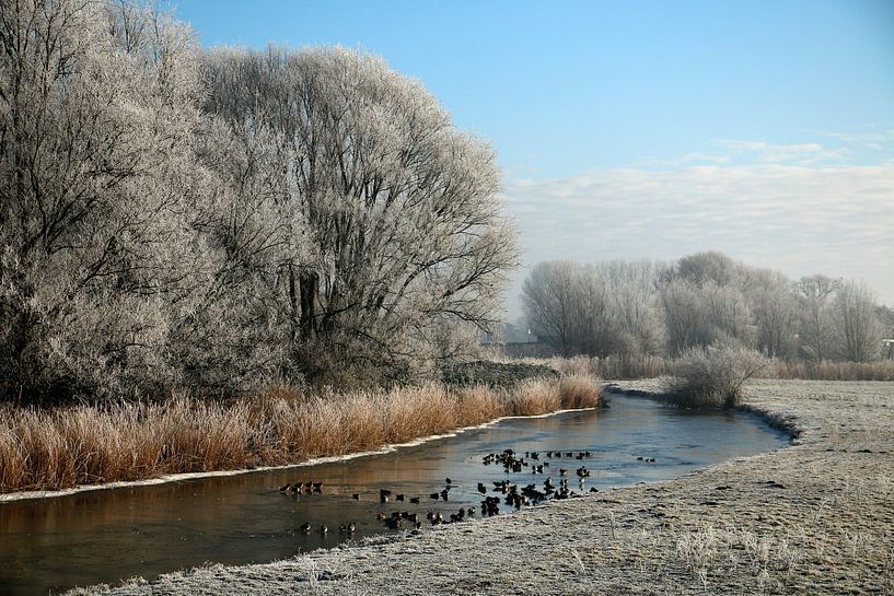 Winterlandschap by Cora Unk