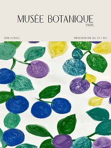 Musée Botanique No 11