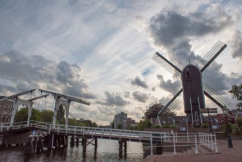 Molen 'De Put' en de Rijn
