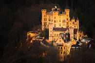 Schloss Hohenschwangau beleuchtet von Henk Meijer Photography Miniaturansicht