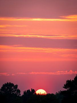 Zonsondergang op de Bakkeveense heide van Erwin Pilon