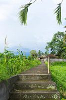 The walking path to the temple