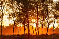 Sonnenuntergang in Saint Anthonis