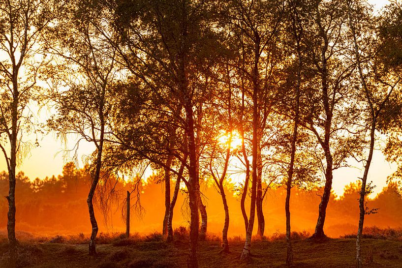 Zonsondergang in Sint Anthonis van Gerry van Roosmalen