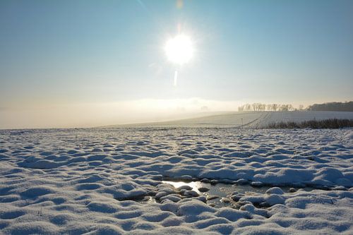 IJzige natuur