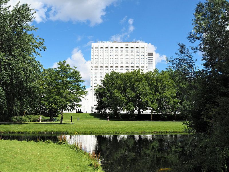 Au cœur de Rotterdam, l'Erasmus Mc est un exemple de la crise de la couronne. par Valentijn Meeuwis