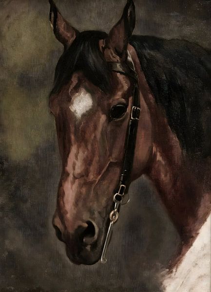 Vintage Horse Portrait by Artstyle