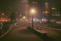 De hoerenloper Rotterdam