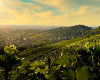 Schwarzwald, Sasbachwalden