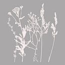 Moderne Botanische Kunst. Blumen, Pflanzen, Kräuter und Gräser in Grau und Weiß Nr. 9 von Dina Dankers Miniaturansicht