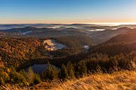 Blick vom Feldberg über den Hochschwarzwald von Werner Dieterich Miniaturansicht