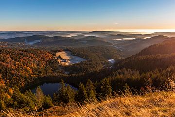 View from the Feldberg over the Upper Black Forest by Werner Dieterich