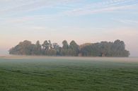 Landschap van Sander Maas thumbnail