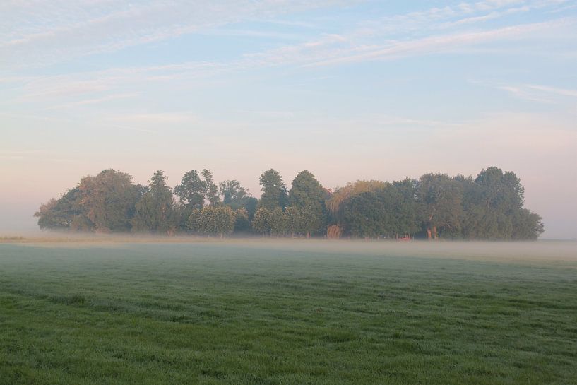 Landschap van Sander Maas