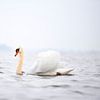 Schöne weiße Schwan schwimmt auf einem nebligen Wolderwijd von Jenco van Zalk