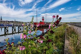Port of Harlingen Friesland by Brian Morgan
