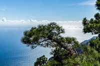 El Hierro, prachtig maar onbekend Spaans Canarisch Eiland