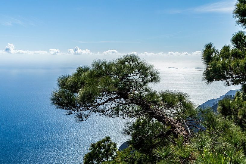 El Hierro, prachtig maar onbekend Spaans Canarisch Eiland van Marjolein Zijlstra
