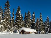 Winter in Noorwegen van Adelheid Smitt thumbnail