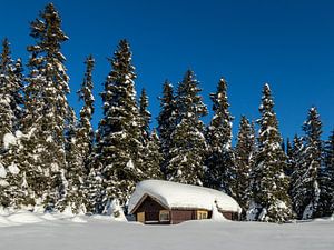 Winter in Norwegen